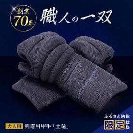 【ふるさと納税】〈限定仕様・名前刺繍〉剣道用甲手「土竜」大人用 / こて コテ 甲手 剣道 防具 けんどう 大人用 成人 / 諫早市 / 株式会社三恵[AHEV001]
