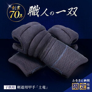 yӂ邳Ɣ[Łzyӂ邳Ɣ[Ōdlzpbuyviqpj/ |s / Ё@Ob[AHEV002]