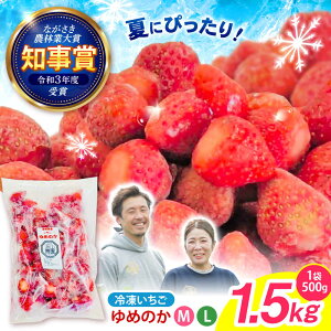 yӂ邳Ɣ[Łzyňb݁AƗⓀIzⓀu߂̂v M-LTCY 1.5kg(500g×3) /  C`S  Ⓚ Ⓚ Ⓚt[c C`SW / |s / ނ炽T[rX[AH