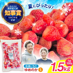 yӂ邳Ɣ[Łzyňb݁AƗⓀIzⓀu߂̂v STCY 1.5kg(500g×3) /  C`S  Ⓚ Ⓚ Ⓚt[c C`SW / |s / ނ炽T[rX[AHFA
