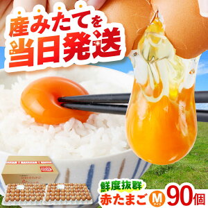 yӂ邳Ɣ[Łz@ŷ꒼z{ Ԃ܂ MTCY 90 /  ʎq ܂ Ă ʎqĂ  { ͂ / |s / {[AHFB002]