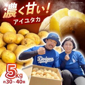 �y�ӂ邳�Ɣ[�Łz���Ⴊ���� �A�C���^�J 5kg (S�`2L�T�C�Y/��30�`40��) / ���Ⴊ���� �W���K�C�� �|�e�g ��B �����䂽�� �A�C���^�J ��� �₳�� / �|���s / �X�}�C���t�@�[���@[AHFG002]