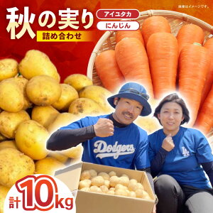 �y�ӂ邳�Ɣ[�Łz�H�̎���l�����i�A�C���^�J�E�j���W���j10kg / ���Ⴊ���� �W���K�C�� �|�e�g ��B �����䂽�� �A�C���^�J �ɂ񂶂� �j���W�� �l�Q ��� �₳�� / �|���s / �X�}�C���t�@�[