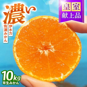 yӂ邳Ɣ[Łz݂@10kg / |s /ɍ_[AHFI012]