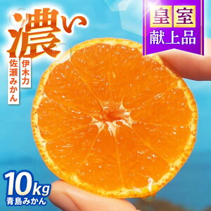 yӂ邳Ɣ[Łz݂@10kg / |s /ɍ_[AHFI014]