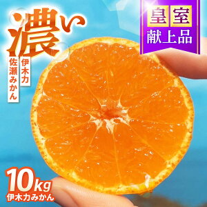 yӂ邳Ɣ[Łzɖ݂ؗ͂@10kg / |s /ɍ_[AHFI016]