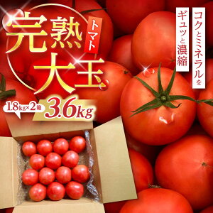 �y�ӂ邳�Ɣ[�Łz���n��ʃg�}�g 3.6kg(1.8kg×2) / �g�}�g �Ƃ܂� tomato �g�}�g�W���[�X ��� �₳�� �T���_ ���n �Â� / �|���s / �ؐH���_��[AHFK001]