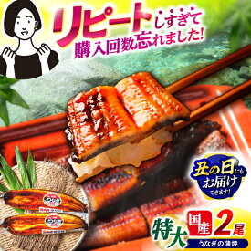 【ふるさと納税】【お中元対象】【最速発送】＜諫早淡水＞特大うなぎ蒲焼2尾 / うなぎ ウナギ 鰻 unagi 蒲焼き 蒲焼 国産 特大 冷凍 うな重 うな丼 ひつまぶし / 諫早市 / 活うなぎ問屋 諫早淡水 [AHAT014] 最短 最速 スピード 発送 丑の日 土用丑の日