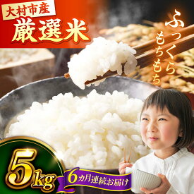 【ふるさと納税】【先行予約】【6回定期便】 お米 5kg×6回 計30kg 大村市 おおむら夢ファームシュシュ/ 米 定期便 米定期便 白米 ご飯