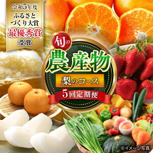 yӂ邳Ɣ[Łzy5ցz{̔_Y R[X /  ₳ ʕ  t[c ӂ[ Yn Ȃ  iV t[c / 呺s / ނ疲t@[VV[ACAA121]