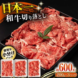 【ふるさと納税】長崎和牛 切り落とし肉 600g / 牛肉 切り落とし 切落し きりおとし すき焼き すきやき しゃぶしゃぶ 小分け / 大村市 / おおむら夢ファームシュシュ[ACAA140]