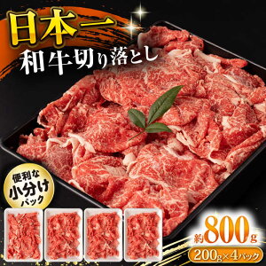 yӂ邳Ɣ[Łza ؂藎Ƃ 800g /  ؂藎Ƃ ؗ 肨Ƃ Ă ₫ Ԃ  / 呺s / ނ疲t@[VV[ACAA141]
