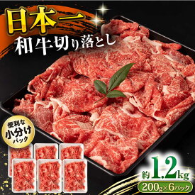 【ふるさと納税】長崎和牛 切り落とし肉 1.2kg / 牛肉 切り落とし 切落し きりおとし すき焼き すきやき しゃぶしゃぶ 小分け / 大村市 / おおむら夢ファームシュシュ[ACAA143]