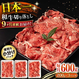 【ふるさと納税】【9回定期便】長崎和牛 切り落とし 600g/月（総計5.4kg） / 牛肉 切り落とし 切りおとし きりおとし すき焼き 小分け / 大村市 / おおむら夢ファームシュシュ[ACAA224]