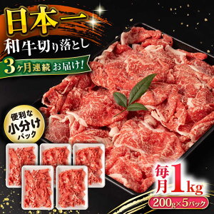 yӂ邳Ɣ[Łzy3ցza ؂藎Ƃ 1kg/iv3kgj /  ؂藎Ƃ ؂肨Ƃ 肨Ƃ Ă  / 呺s / ނ疲t@[VV[ACAA230]
