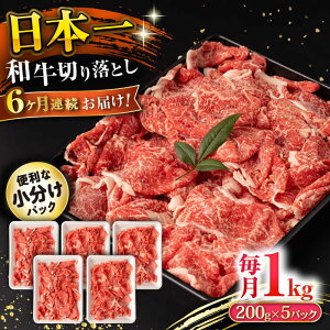 yӂ邳Ɣ[Łzy6ցza ؂藎Ƃ 1kg/iv6kgj /  ؂藎Ƃ ؂肨Ƃ 肨Ƃ Ă  / 呺s / ނ疲t@[VV[ACAA231]
