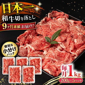 yӂ邳Ɣ[Łzy9ցza ؂藎Ƃ 1kg/iv9kgj /  ؂藎Ƃ ؂肨Ƃ 肨Ƃ Ă  / 呺s / ނ疲t@[VV[ACAA232]