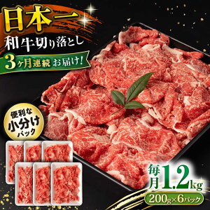 yӂ邳Ɣ[Łzy3ցza ؂藎Ƃ 1.2kg/iv3.6kgj /  ؂藎Ƃ ؂肨Ƃ 肨Ƃ Ă  / 呺s / ނ疲t@[VV[ACAA234]