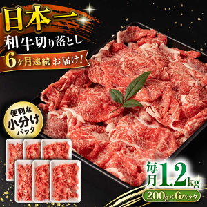 yӂ邳Ɣ[Łzy6ցza ؂藎Ƃ 1.2kg/iv7.2kgj /  ؂藎Ƃ ؂肨Ƃ 肨Ƃ Ă  / 呺s / ނ疲t@[VV[ACAA235]