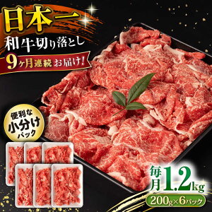 yӂ邳Ɣ[Łzy9ցza ؂藎Ƃ 1.2kg/iv10.8kgj /  ؂藎Ƃ ؂肨Ƃ 肨Ƃ Ă  / 呺s / ނ疲t@[VV[ACAA236]