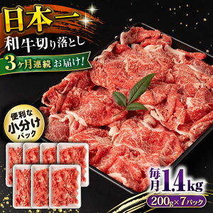 yӂ邳Ɣ[Łzy3ցza ؂藎Ƃ 1.4kg/iv4.2kgj /  ؂藎Ƃ ؂肨Ƃ 肨Ƃ Ă  / 呺s / ނ疲t@[VV[ACAA238]