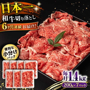 yӂ邳Ɣ[Łzy6ցza ؂藎Ƃ 1.4kg/iv8.4kgj /  ؂藎Ƃ ؂肨Ƃ 肨Ƃ Ă  / 呺s / ނ疲t@[VV[ACAA239]