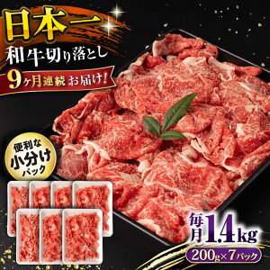 yӂ邳Ɣ[Łzy9ցza ؂藎Ƃ 1.4kg/iv12.6kgj /  ؂藎Ƃ ؂肨Ƃ 肨Ƃ Ă  / 呺s / ނ疲t@[VV[ACAA240]