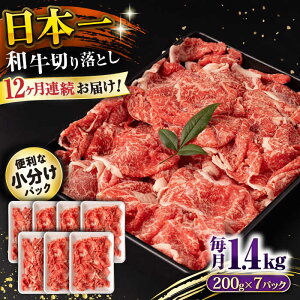 yӂ邳Ɣ[Łzy12ցza ؂藎Ƃ 1.4kg/iv16.8kgj /  ؂藎Ƃ ؂肨Ƃ 肨Ƃ Ă  / 呺s / ނ疲t@[VV[ACAA241]
