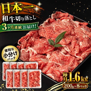 yӂ邳Ɣ[Łzy3ցza ؂藎Ƃ 1.6kg/iv4.8kgj /  ؂藎Ƃ ؂肨Ƃ 肨Ƃ Ă  / 呺s / ނ疲t@[VV[ACAA242]