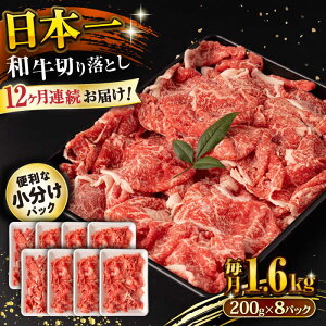 yӂ邳Ɣ[Łzy12ցza ؂藎Ƃ 1.6kg/iv19.2kgj /  ؂藎Ƃ ؂肨Ƃ 肨Ƃ Ă  / 呺s / ނ疲t@[VV[ACAA245]