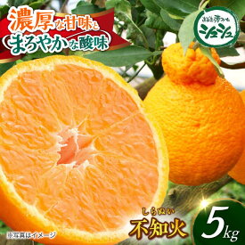 【ふるさと納税】【2026年3月中旬より順次発送予定】不知火 5kg　/ しらぬい みかん 果実 柑橘 / 大村市 / おおむら夢ファームシュシュ[ACAA299]