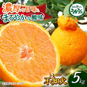 yӂ邳Ɣ[Łzy2026N3{菇\zsm 5kg@/ ʂ ݂ ʎ k / 呺s / ނ疲t@[VV[ACAA299]