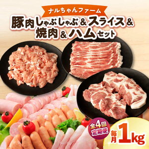 yӂ邳Ɣ[Łzy4ցzit@[ؓ Ԃ XCX ē nZbg 1kg 1.25kg / Ԃ XCX ē n / 呺s / ނ疲t@[VV[ACAA346]