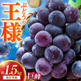 【ふるさと納税】【先行予約：2026年8月中旬より順次発送予定】 巨峰 種あり 約1.5kg / ぶどう ブドウ 葡萄 巨峰 種あり 先行予約 フルーツ 産地直送 旬 果物 くだもの / 大村市 / おおむら夢ファームシュシュ [ACAA379]