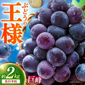 【ふるさと納税】【先行予約：2026年8月中旬より順次発送予定】 巨峰 種あり 約2kg / ぶどう ブドウ 葡萄 巨峰 種あり 2kg 先行予約 フルーツ 産地直送 旬 果物 くだもの / おおむら夢ファームシュシュ [ACAA380]