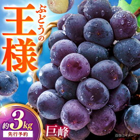 【ふるさと納税】【先行予約：2026年8月中旬より順次発送予定】 巨峰 種あり 約3kg / ぶどう ブドウ 葡萄 巨峰 種あり 先行予約 フルーツ 産地直送 旬 果物 くだもの / 大村市 / おおむら夢ファームシュシュ [ACAA381]