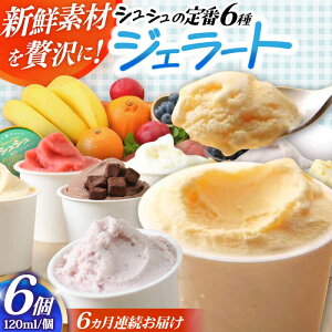 yӂ邳Ɣ[Łzy6ցzVV ԃWF[g6Zbg / ACX ACXN[ WF[g XC[c / 呺s / ނ疲t@[VV[ACAA407]