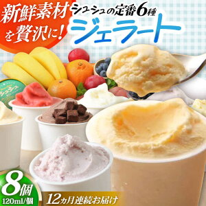 yӂ邳Ɣ[Łzy12ցzVV ԃWF[g8Zbg / ACX ACXN[ WF[g XC[c / 呺s / ނ疲t@[VV[ACAA412]