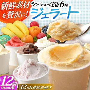 yӂ邳Ɣ[Łzy12ցzVV ԃWF[g12Zbg / ACX ACXN[ WF[g XC[c / 呺s / ނ疲t@[VV[ACAA416]