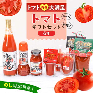 yӂ邳Ɣ[ŁzVVIWi g}gR6Zbg / Ƃ܂ W[X hbVO P`bv \[X / 呺s / ނ疲t@[[ACAA484]