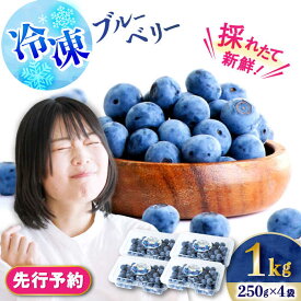 【ふるさと納税】【2026年7月上旬頃より順次発送予定】冷凍ブルーベリー 1kg（250g×4袋）/ ベリー べりー ブルーベリー ぶるーべりー 冷凍 小分け 果物 くだもの フルーツ ふるーつ 先行予約/ 大村市 / おおむら夢ファームシュシュ[ACAA004]