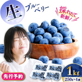 【ふるさと納税】【2026年7月上旬頃より順次発送予定】生ブルーベリー 1kg（250g×4袋）/ ベリー べりー ブルーベリー ぶるーべりー 生 小分け 果物 くだもの フルーツ ふるーつ 先行予約 / 大村市 / おおむら夢ファームシュシュ[ACAA005]