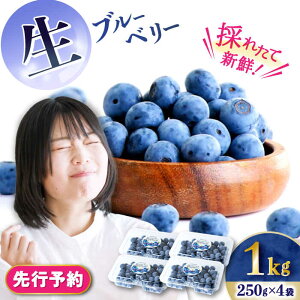 【ふるさと納税】【2026年7月上旬頃より順次発送予定】生ブルーベリー 1kg(250g×4袋)/ ベリー べりー ブルーベリー ぶるーべりー 生 小分け 果物 くだもの フルーツ ふるーつ 先行予約 / 大村
