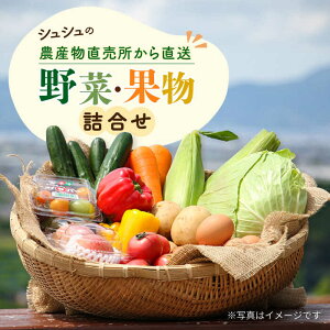 yӂ邳Ɣ[ŁzVV̔_Y璼 ؁Eʕ̋l /  ₳ ʕ  t[c ӂ[ Yn / 呺s / ނ疲t@[VV[ACAA032]