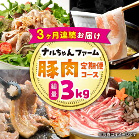 【ふるさと納税】【3回定期便】ナルちゃんファーム豚肉コース　総量3kg / 国産 豚肉 豚 焼肉 しゃぶしゃぶ / 大村市 / おおむら夢ファームシュシュ[ACAA058]