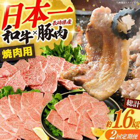 【ふるさと納税】【2回定期便】長崎和牛＆豚肉焼肉コース 総量1.6kg / 牛肉 モモ もも ロース ろーす 肩ロース カルビ かるび 豚肉 豚肉 豚ロース 豚バラ バラ ばら 焼肉 焼き肉 小分け 牛肉定期便 / 大村市 / おおむら夢ファームシュシュ[ACAA066]