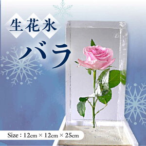 yӂ邳Ɣ[ŁzԕX o (12cm×12cm×25cm) 4kg X  CeA v[g Mtg 呺s 呺X[ACZN002]
