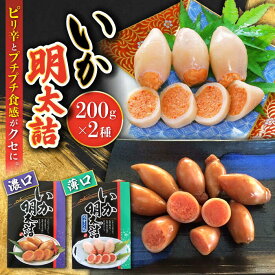【ふるさと納税】いか明太詰め2種セット（濃口・薄口）/ いか イカ 烏賊 めんたいこ イカ明太 イカめんたい いか明太 めんたい詰め 明太詰め / 大村市 / 株式会社ナガスイ [ACYQ007]