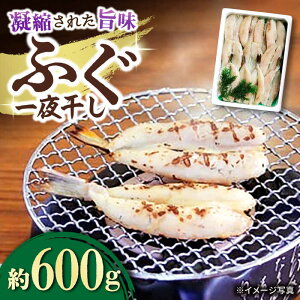 yӂ邳Ɣ[Łzӂ 銱 600g / ӂ tO 銱 ͓  Ђ / 呺s / ЃiKXC[ACYQ012]