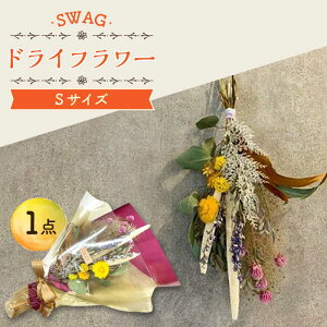 yӂ邳Ɣ[ŁzhCt[ SWAG XbO STCY ԑ /  t[ V l炵 z / 呺s / AgEՉԉ[ACZZ002]